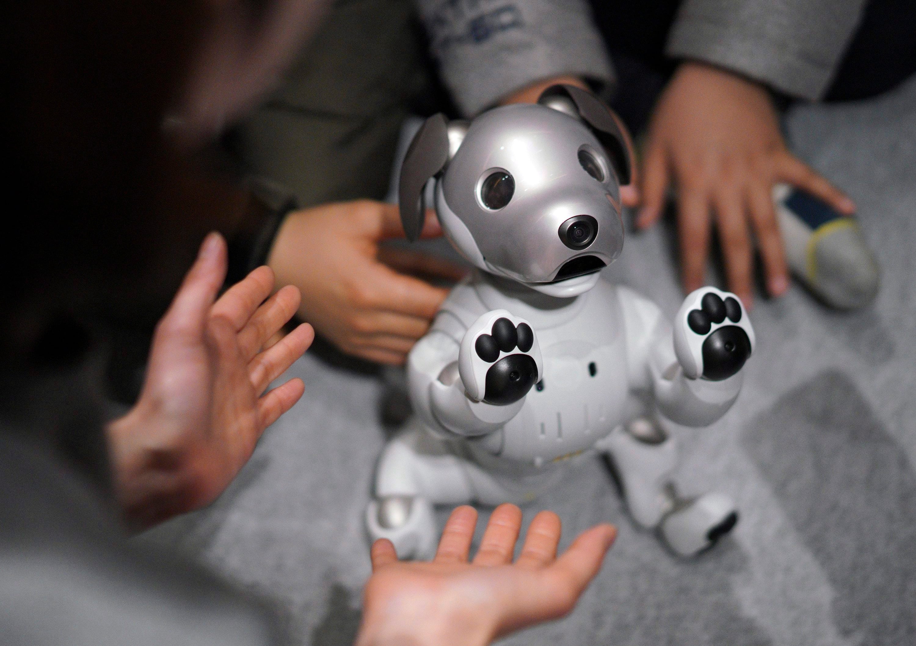 Aibo robot dog being hugged by a woman in a living room
