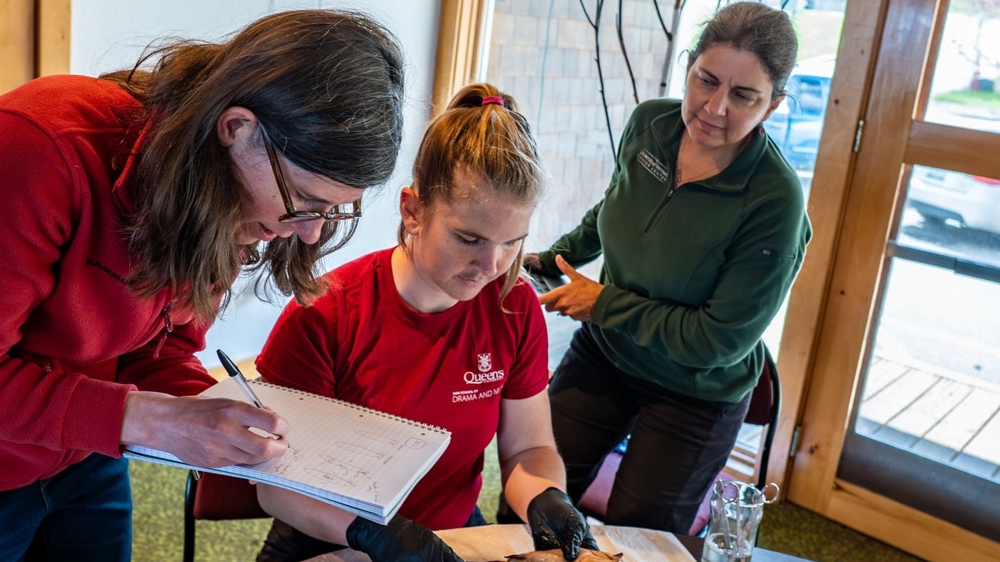 From left, Elizabeth Murchison, a professor at the University of Cambridge; Zoe Clarke, postdoctoral associate and Julie Dragon of the University of Vermont disect a fish while studying cancer in fish that may be transmittable. THE CANADIAN PRESS/Handout - Joshua Brown