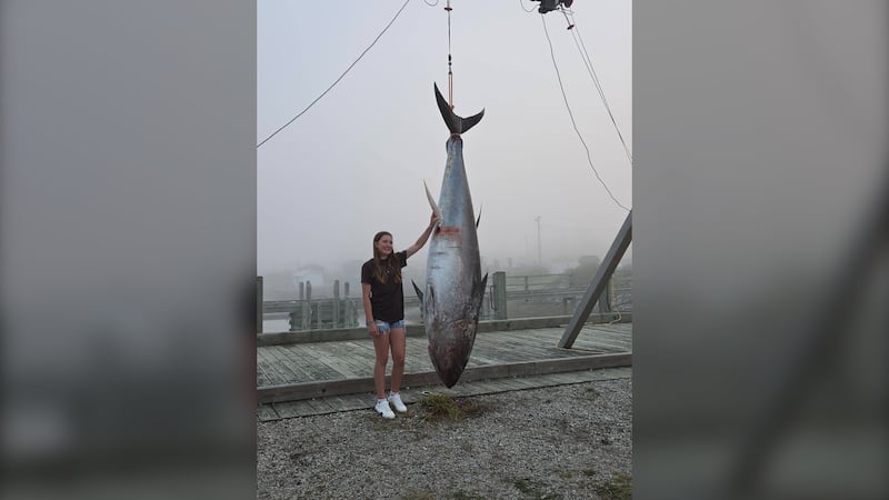 Délynn Jacquard is seen with the 711-pound tuna. (Courtesy: Kerry Munro Muise)