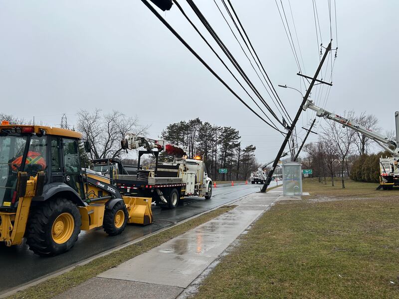 Leaning power poles are pictured on Bayers Road in Halifax on March 17, 2026. (Emma Convey/CTV Atlantic)