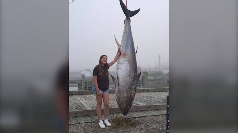 ‘I felt amazed’: N.S. girl may reel in a record with 700 lb tuna catch