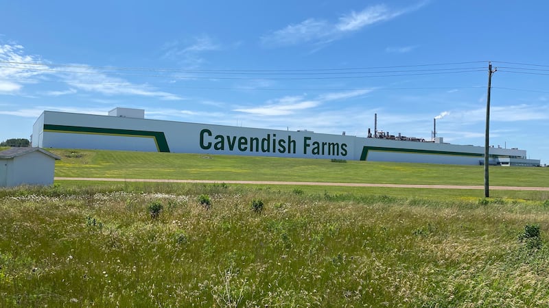 Cavendish Farms, in New London, P.E.I., is pictured on June 20, 2025. (CTV Atlantic / Josh Smith)