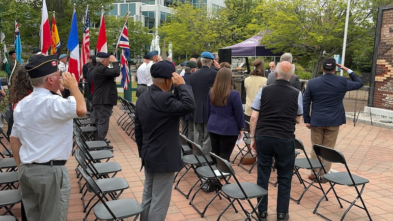 Military personnel stand and salute during a ceremony.