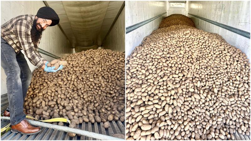 Guru Nanak Free Kitchen Calgary will be giving away 80,000 pounds of free potatoes on April 25, 2026. (Facebook/Guru Nanak Free Kitchen)