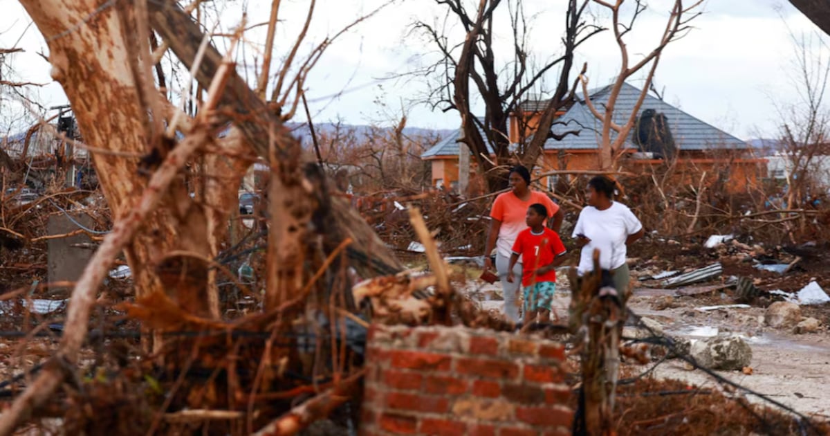 Jamaica reports deadly leptospirosis outbreak after Hurricane Melissa