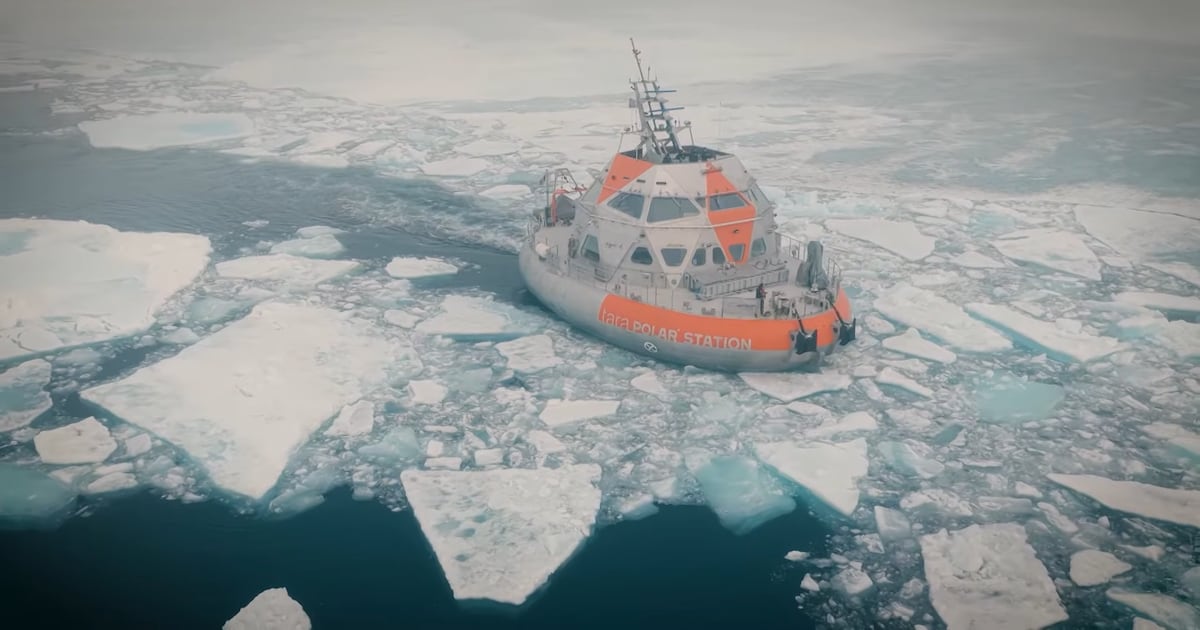 Arctic expedition