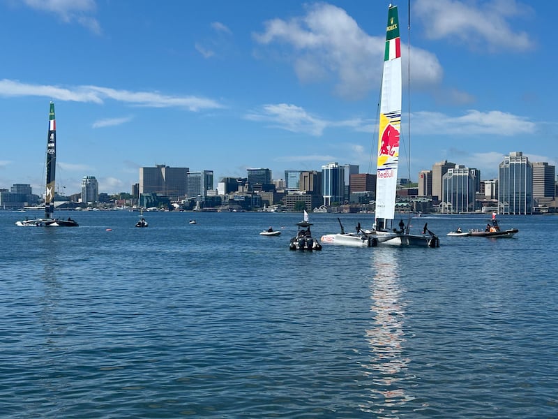 Catamarans for the Italian and French teams are pictured on the water in Halifax on June 19, 2026. (CTV Atlantic / Jonathan MacInnis)