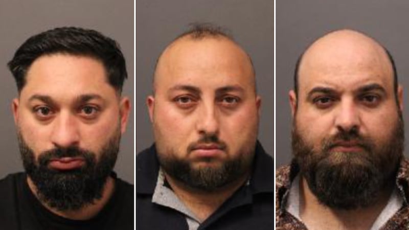 ‘Observant citizen’ helps police arrest 3 suspects in Vaughan distraction theft attempt