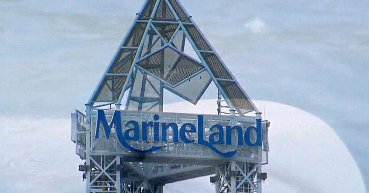 What's happening to deer at Marineland? Questions swirl as CFIA probes ...