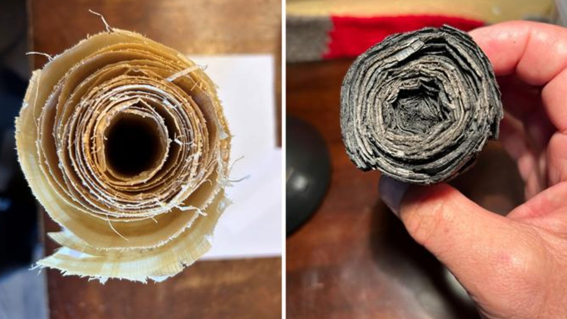 One of several papyrus scrolls before carbonization, left, and after carbonization, right. (Seiler et al., 2026, PLOS One, CC0, https://creativecommons.org/publicdomain/zero/1.0/)