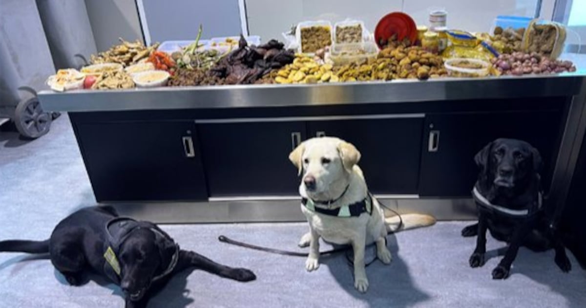 A round of ‘appaws’: Detector dogs intercept undeclared meat at Toronto ...
