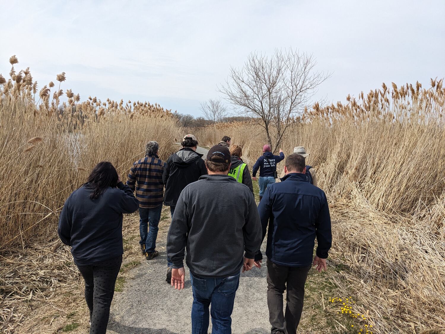 Ontario hit hardest by invasive species in Canada. Here's what experts ...