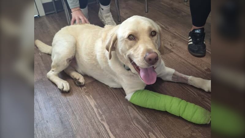 Reese is pictured at his home in Coldbrook, N.S. (Submitted)