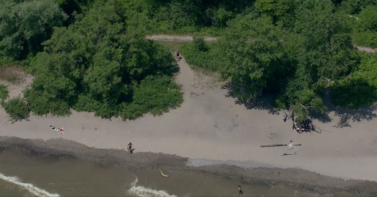 Police searching for suspect wanted in connection with ‘violent’ sexual ...