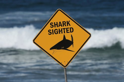 Spearfisher mauled on Great Barrier Reef in Australia's second fatal shark attack in a week