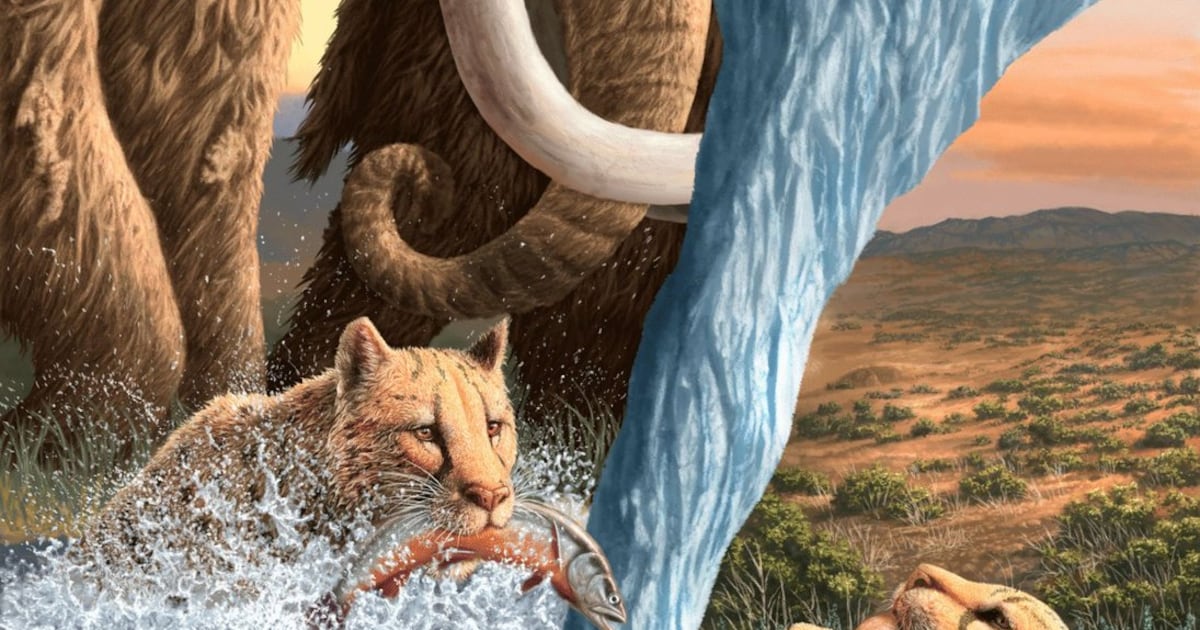 Yukon big cats ate fish during the Ice Age