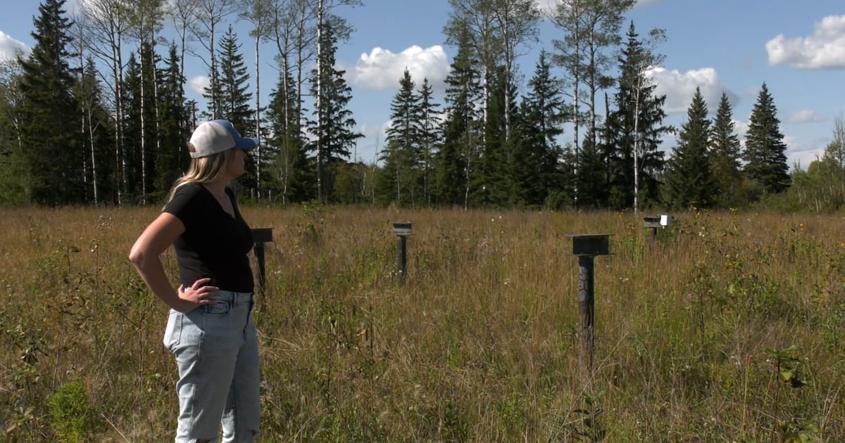 Alberta landowners face orphan well cleanup waits