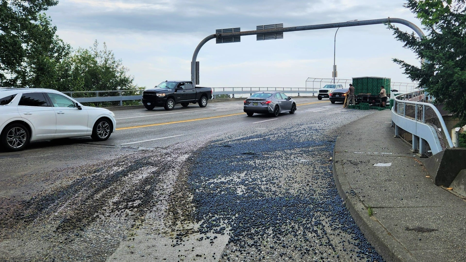 Mission RCMP blueberry spill