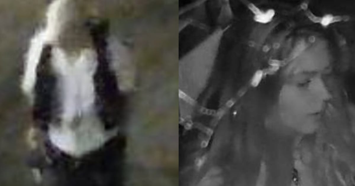 Police seek two suspects in Toronto Islands alcohol theft