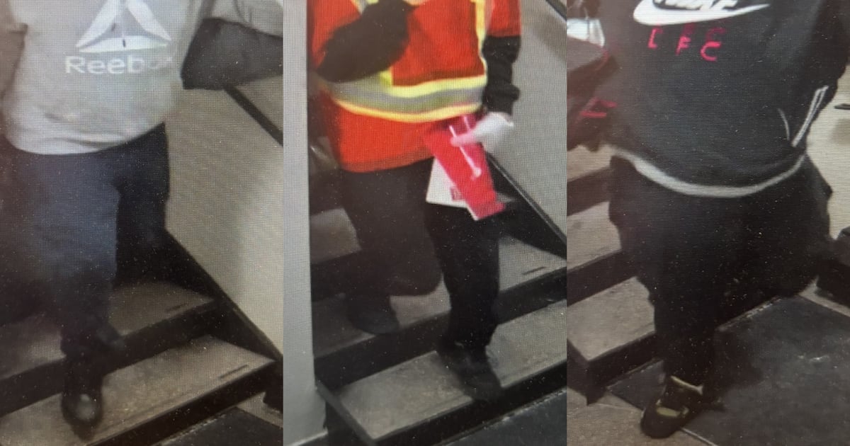 Toronto police hunt suspects who posed as delivery drivers in home invasion