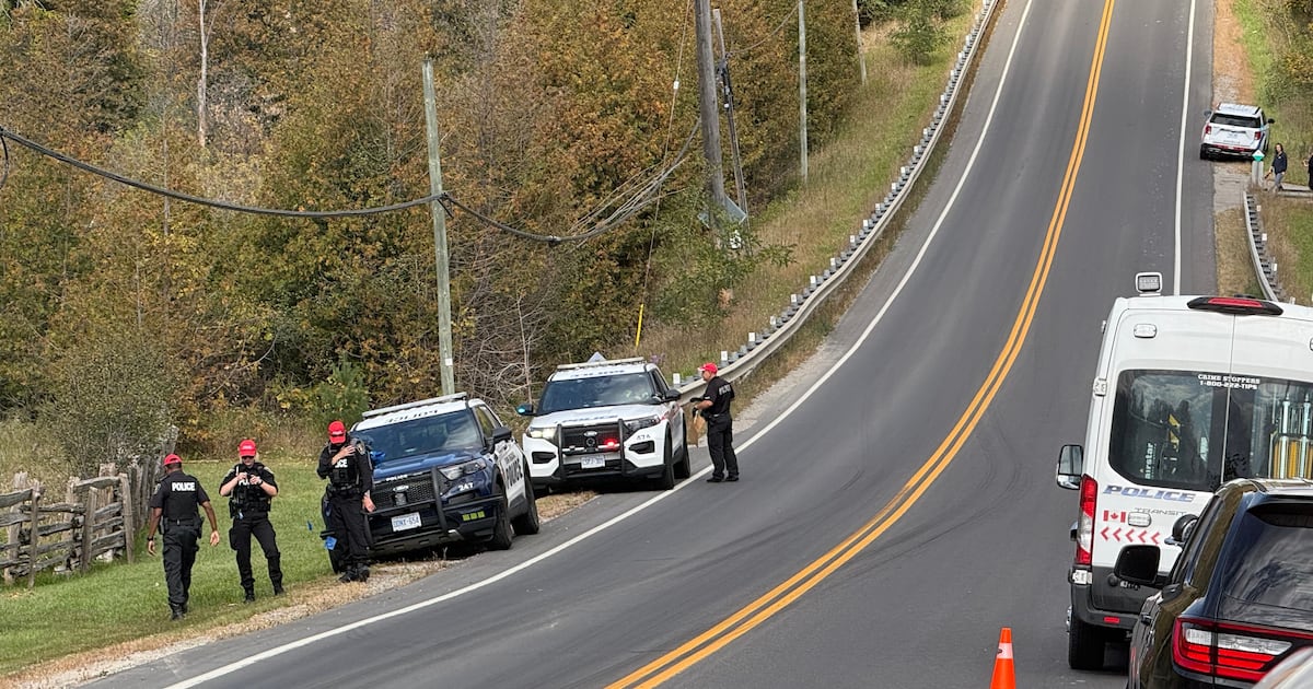 Police release new details about deadly hit-and-run in Vaughan