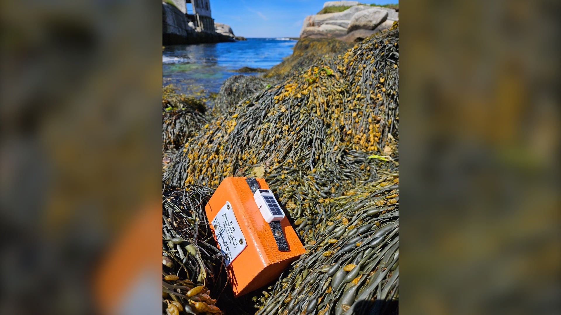 A floating orange block released by Environment and Climate Change Canada is seen on the shore near Halifax in this undated handout photo. People who find the blocks are being asked to report the date and the location to researchers so they can track how currents move the bodies of dead seabirds through the ocean. THE CANADIAN PRESS/Handout — Robert Ronconi