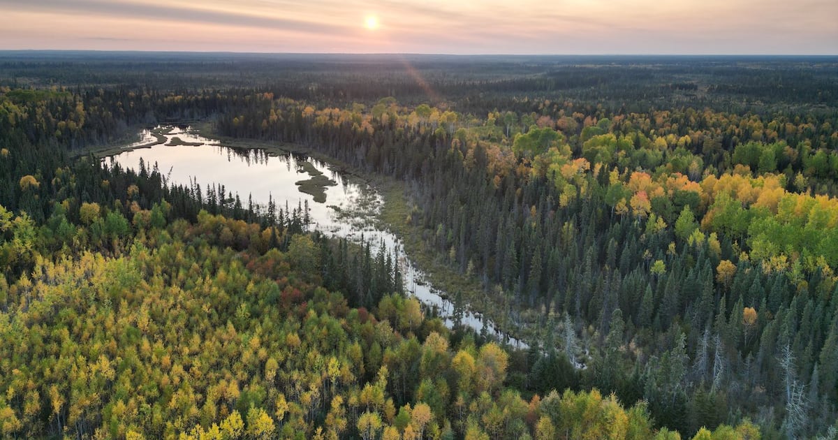 Ein Gebiet im borealen Wald von Ontario, größer als Toronto ...