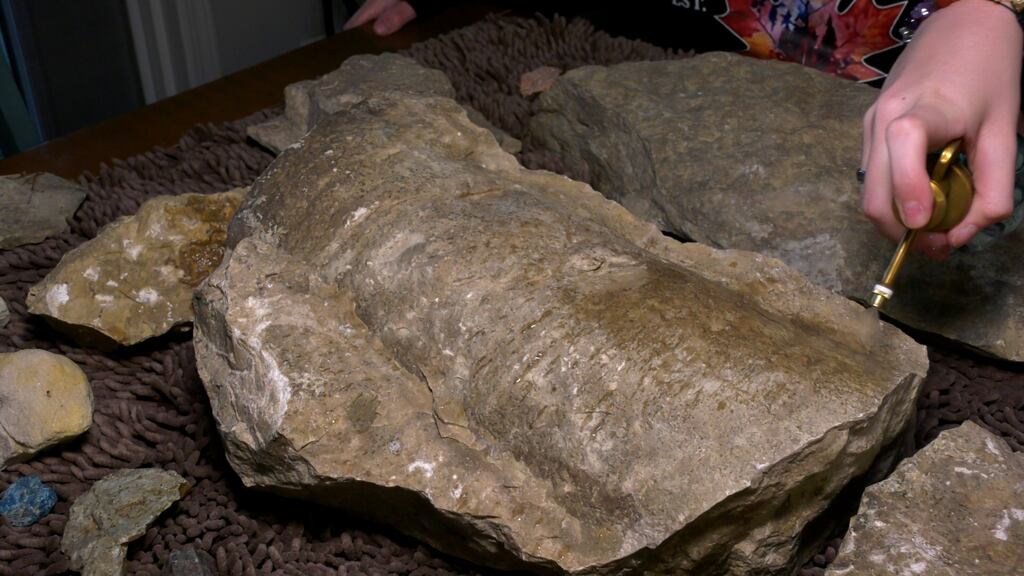 Rock-hunting siblings haul home rare 450-million-year-old sea fossil