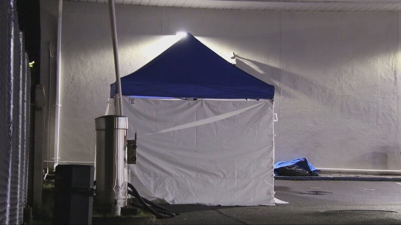 One witness said he initially thought the sound was a motorcycle engine backfiring, while another said he heard the shots and then looked to see a man lying on the ground in the parking lot of the nearby Chevron gas station.  (CTV News)