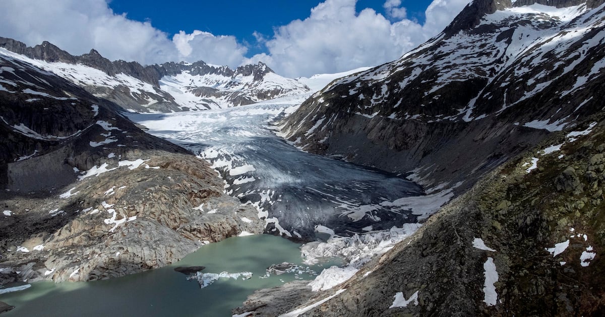 Can sheep save the glaciers? Swiss scientists put wool to the test