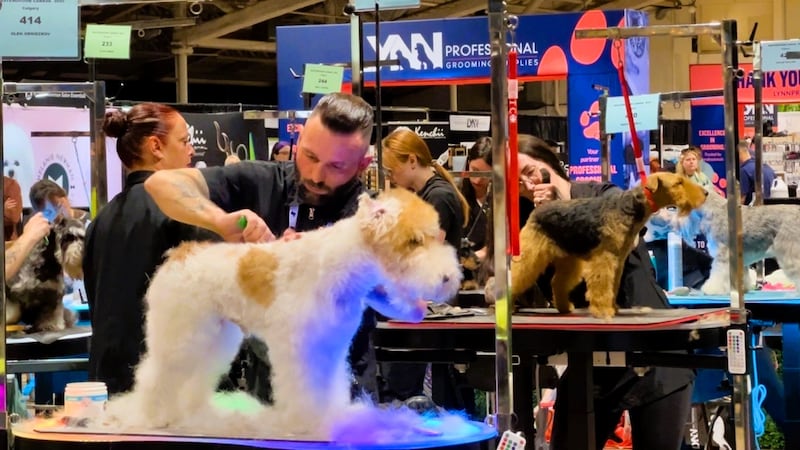 Mastergroom Canada 2025 takes place at Spruce Meadows July 25-27.