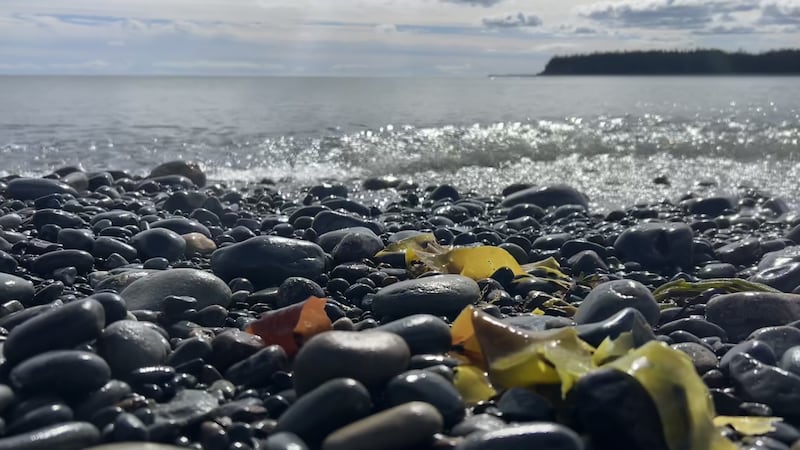 Waves along the shore in Eastern Passage