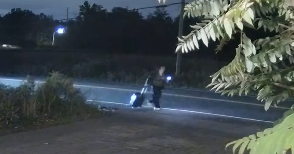 New video released in Vaughan hit-and-run