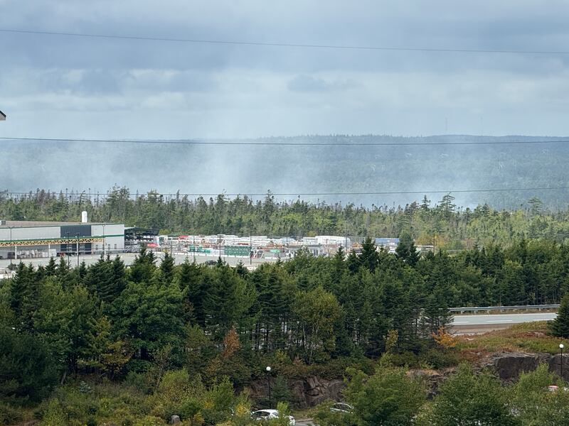 Smoke is pictured coming from a wildfire in the Julius Boulevard and Dugger McNeil Drive area of Bayers Lake, N.S., on Aug.12, 2025. (CTV Atlantic / Callum Smith)