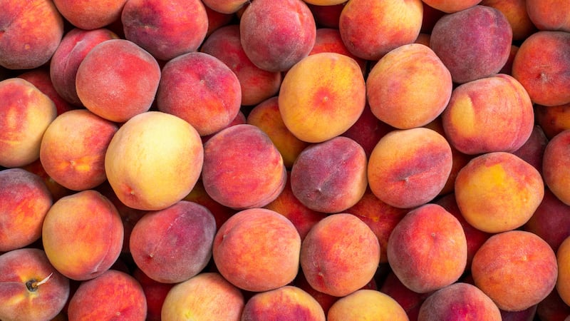 Flooding in Niagara could push prices higher for peaches and plums next year, warns U of G expert