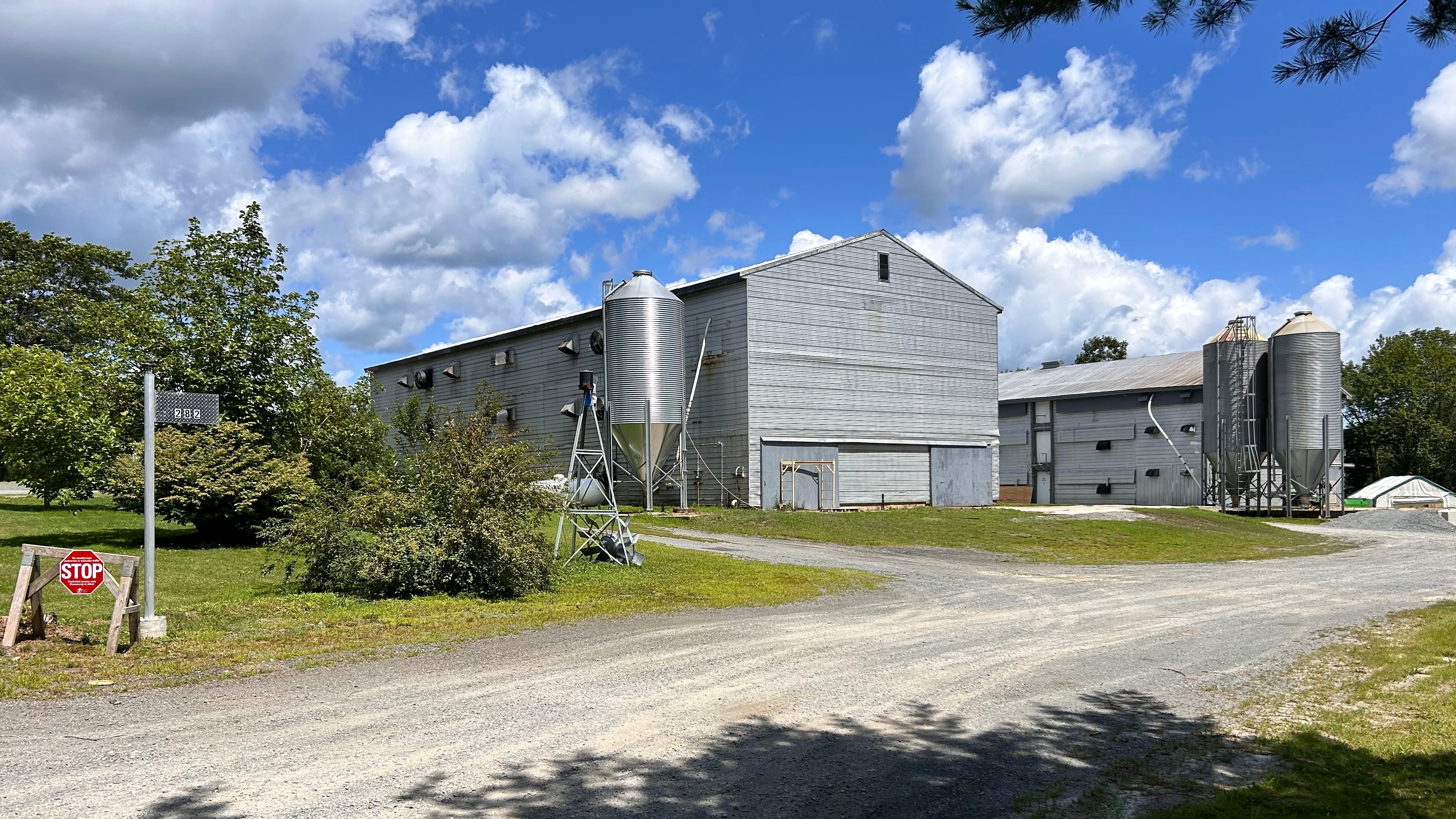Roughly 10,000 chickens are dead after someone broke into this poultry farm in Pine Grove, N.S. (Paul Dewitt/CTV News Atlantic)