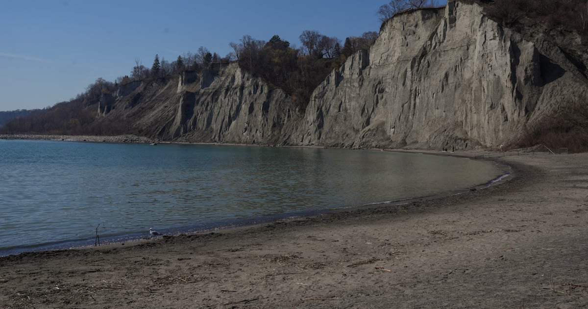 Brampton man charged after lifeguard ejected into water in jet ski ...