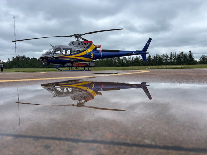 A new fleet of four Airbus H125 helicopters have landed in Nova Scotia to help the province fight wildfires and assist in search and rescue efforts. A competition was held to name the four helicopters which include Hawk, Falcon, Eagle and Osprey. (Jesse Thomas/CTV Atlantic)