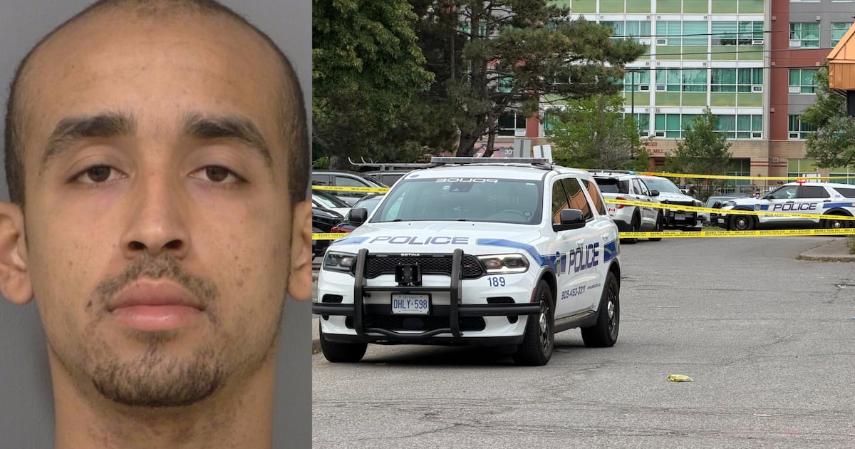 2nd suspect arrested in Mississauga road rage incident that ended in ...