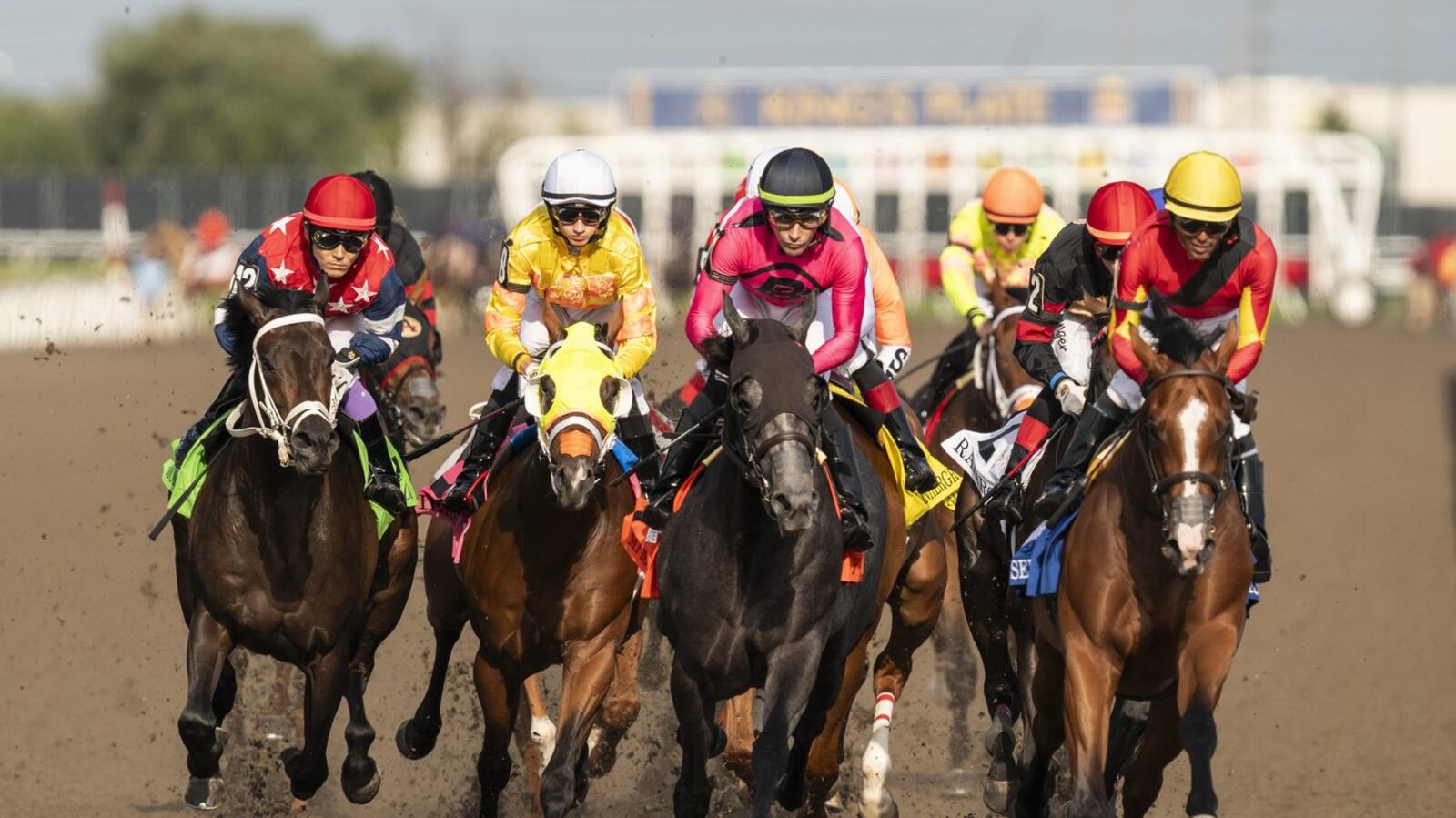 Race in Fort Erie under review