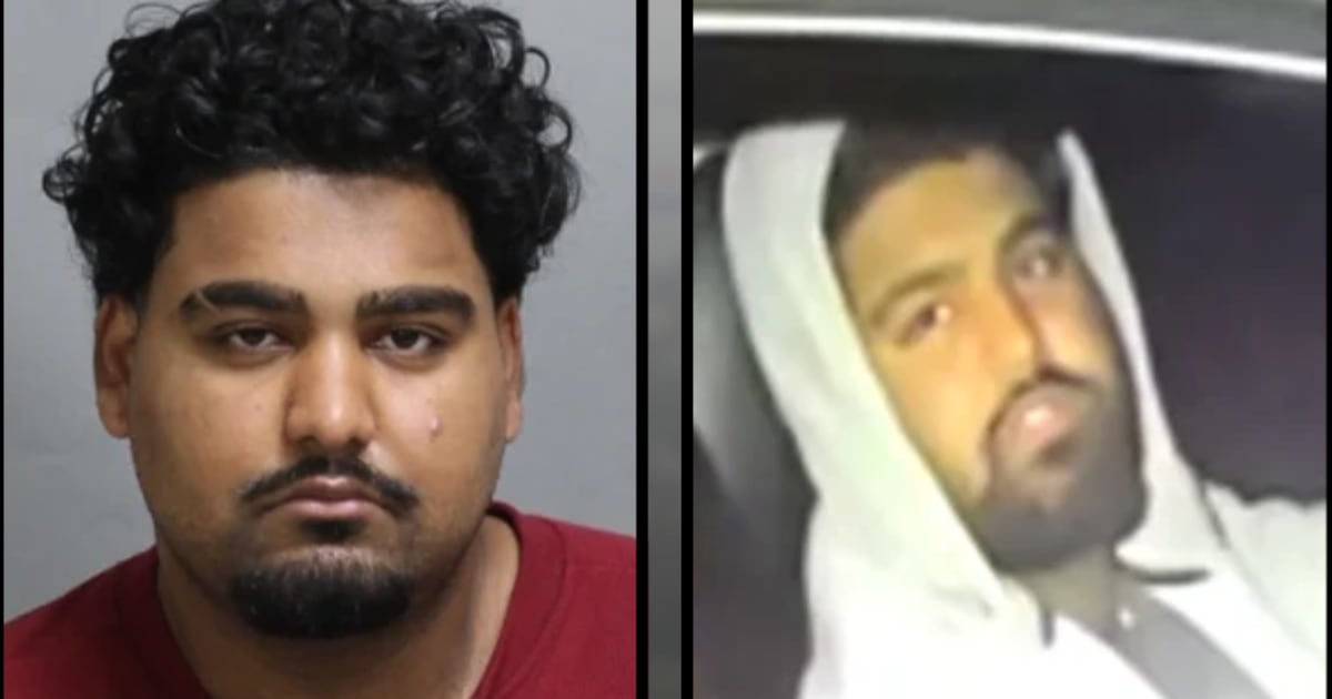 Tesla driver outstanding after allegedly hitting 2 police officers in Oshawa