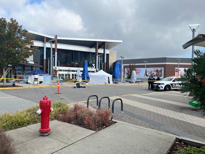 Tsawwassen vehicle incident