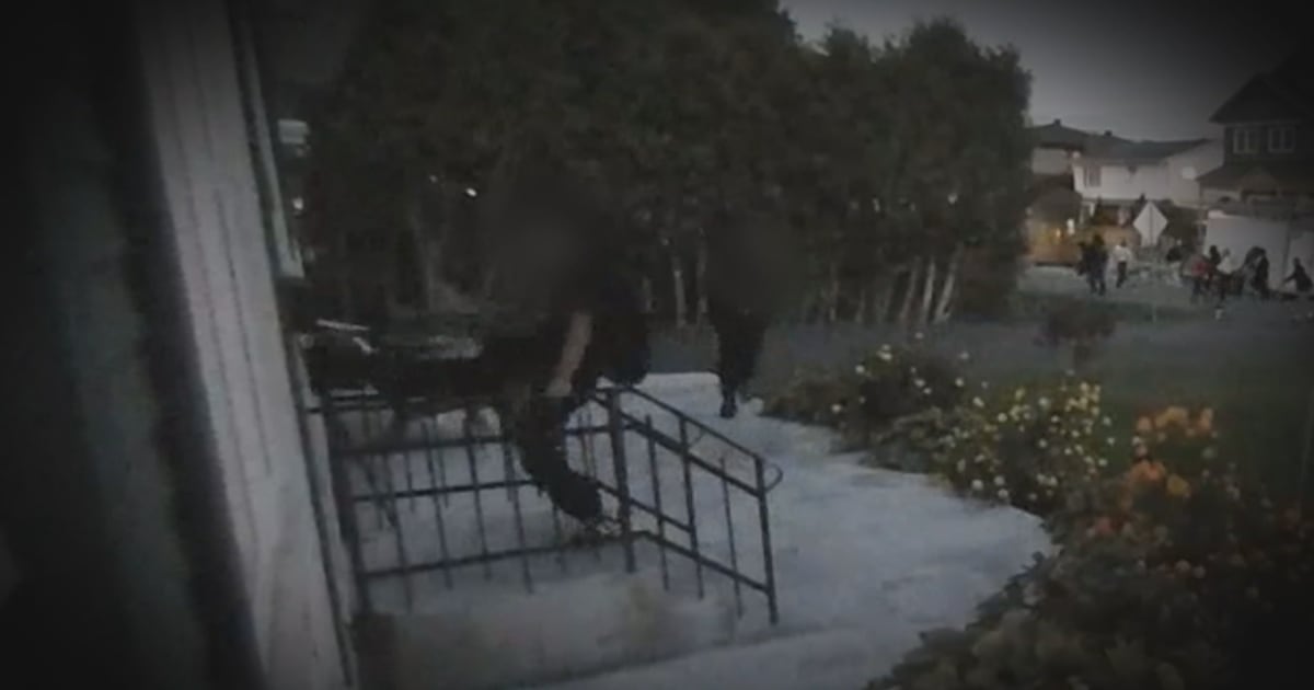 Ottawa neighbourhood alarmed by teens smashing doors