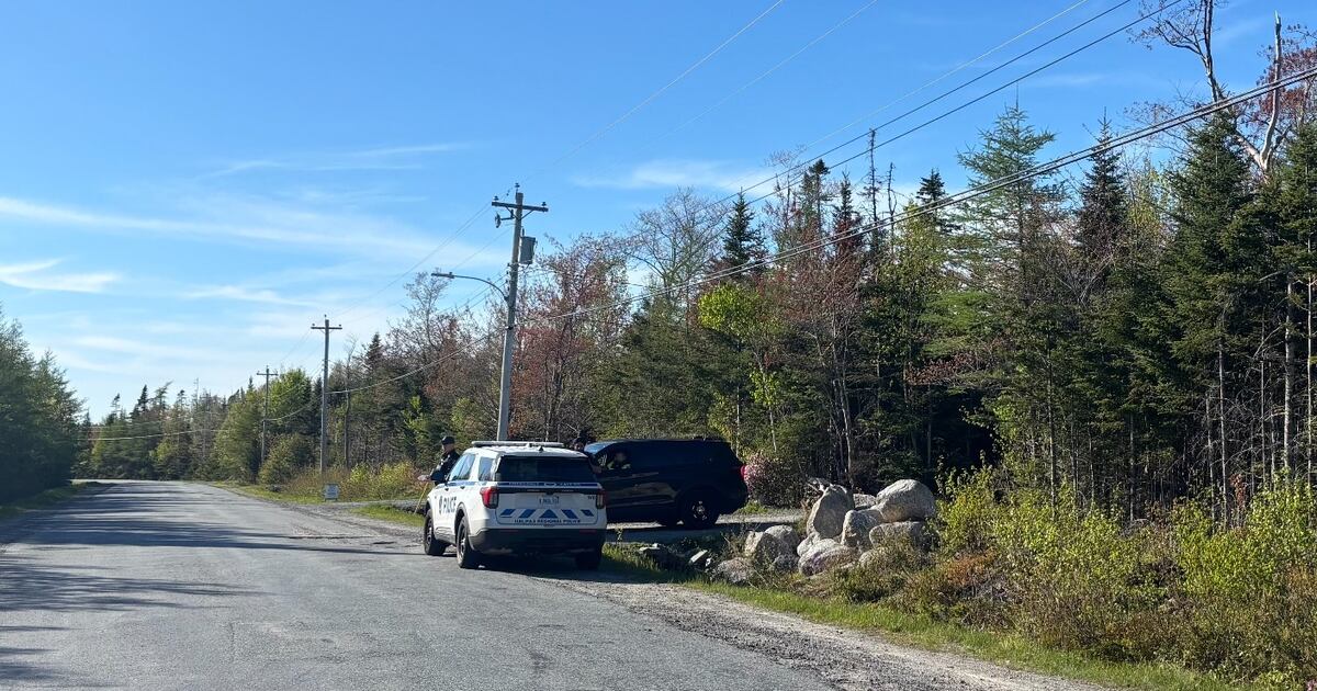 Mother of baby whose remains were found in wooded area has died: Halifax ...