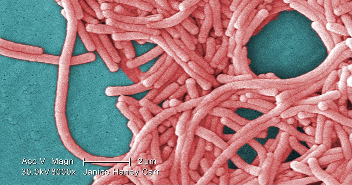 Legionnaires' Disease Outbreak near Downtown Toronto
