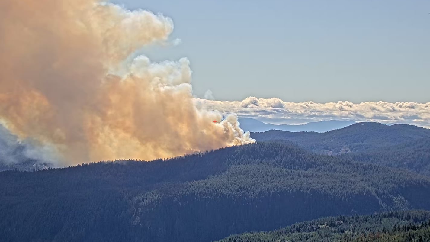 View of the Mount Jack fire from Mount Healy