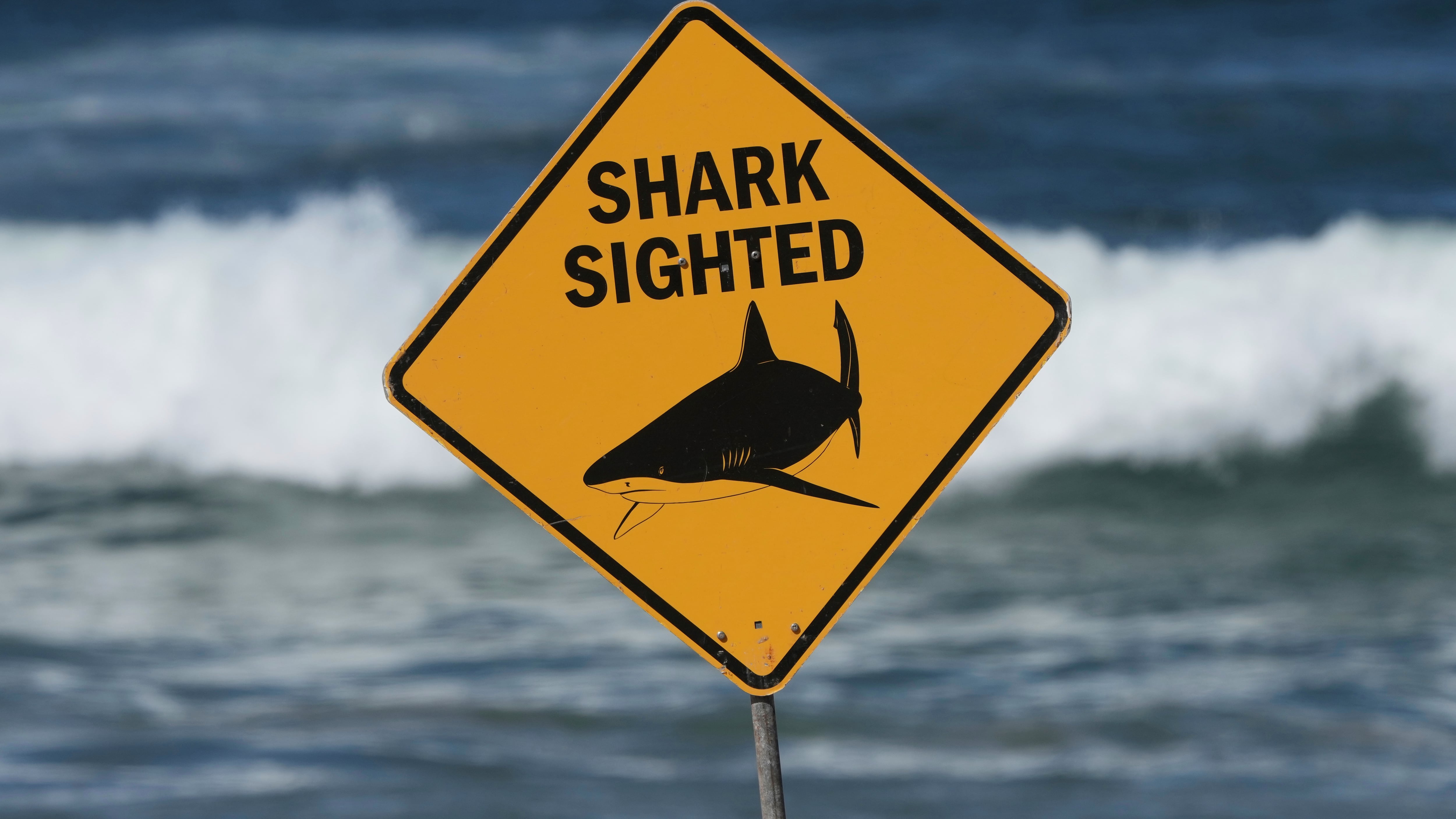 A sign is seen at the site of a fatal shark attack at Dee Why Beach in Sydney, Australia on Sept. 6, 2025. (Mark Baker / AP Photo)