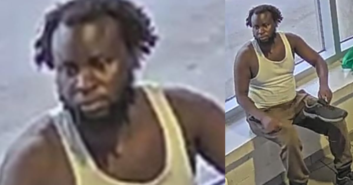 Suspect accused of sexually assaulting woman while shopping and teen girl ...