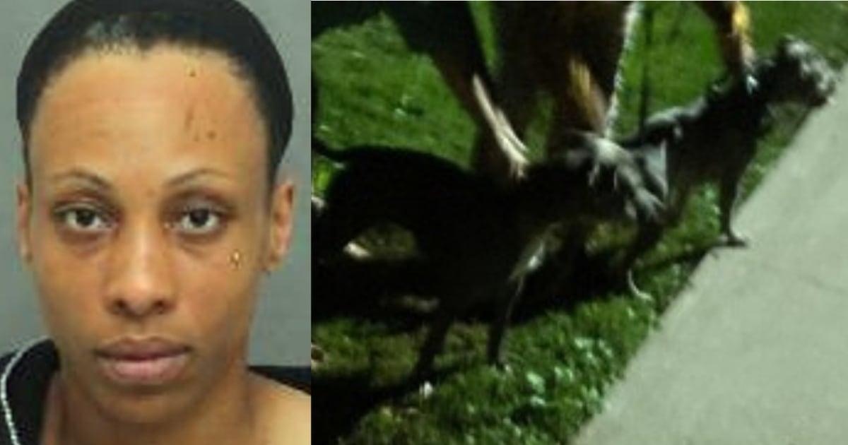 Woman wanted after dog attack in midtown Toronto