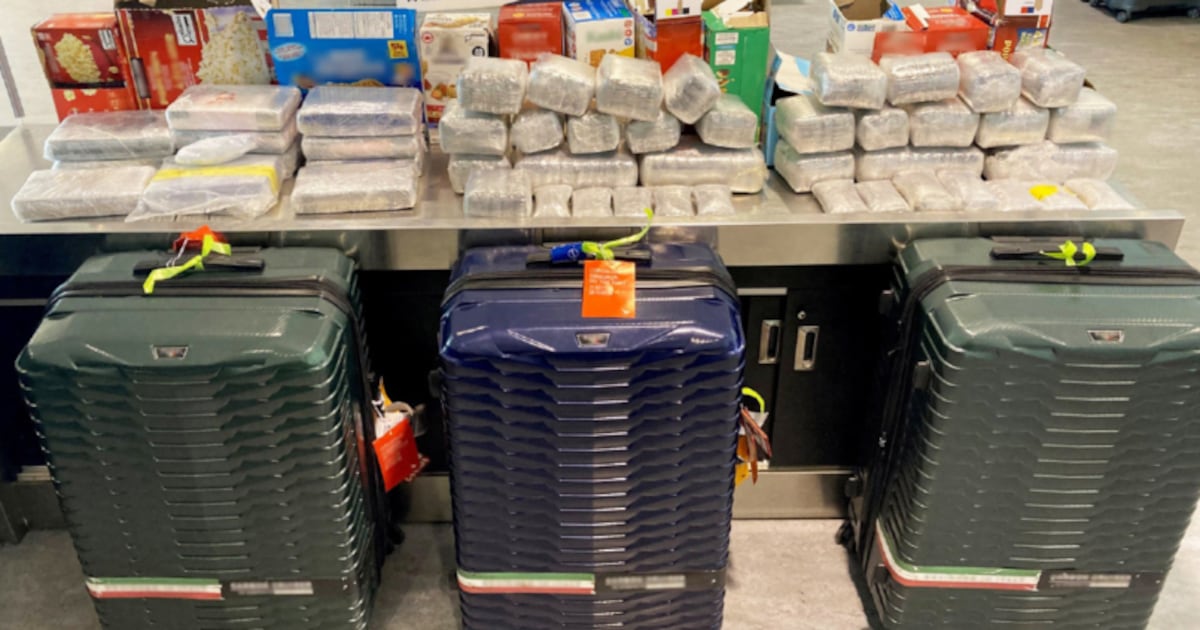 Border officials seize suitcases of cocaine and hashish at Pearson airport